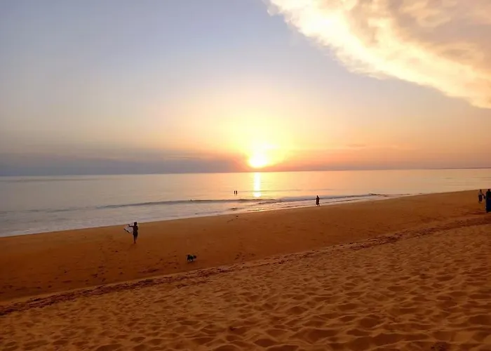 Beau Proche Et Centre-ville